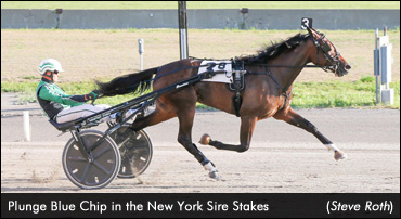 'Plunge' Sets Record In Career Debut