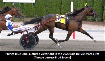 'Plunge' Primed For Armbro Flight