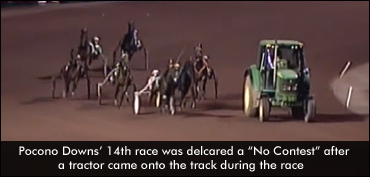 Bizarre Ending To Napolitano's Big Day