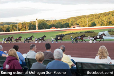 Pocono Stable Area To Open March 1