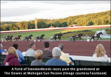 Sun Stakes Saturday All Set