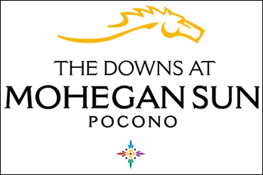 Sun Stakes Saturday Fields Set