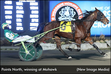 Auciello Eager For Action