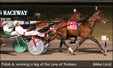 Hunch Pays Off On Downunder Pacer