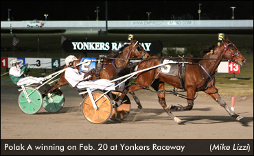 Polak A Repeats In Yonkers Open