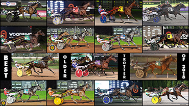 Which Older Trotter Had The Best Year?