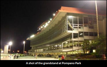 Aged Mare Turns Tables On The Boys