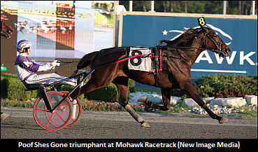 Norman Explains Poof Shes Gone's Issue