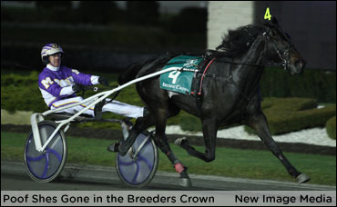 Is Poof Shes Gone Hambo-Bound?