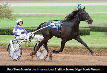 Norman On Poof Shes Gone Retirement