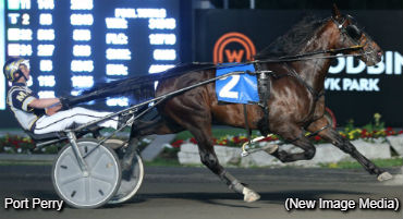 McClure Sweeps Gold Divisions