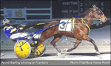 Pound Sterling Stuns At Flamboro