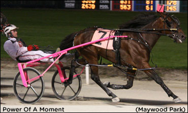 Favourites Roll In Violet & Cardinal Finals