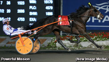 Rookie Trotters In Autumn Battle