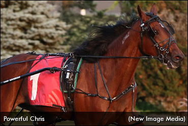 Powerful Chris Crushes Track Record