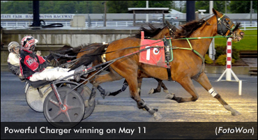 Powerful Charger Prevails In Open Trot