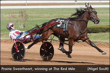 Prairie Sweetheart Set To Debut