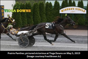 ‘Panther’ Stalks, Pounces At Tioga