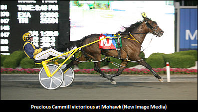 Marfisi On Precious Cammill