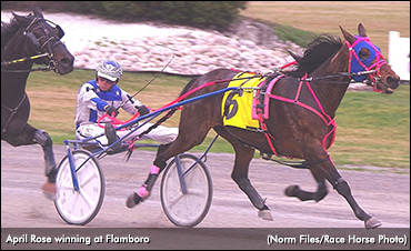 April Rose Repeats In Preferred