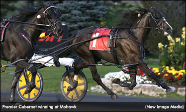 Grassroots Win For Premier Cabernet 