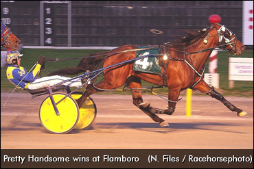 From Grassroots To Grand Stage