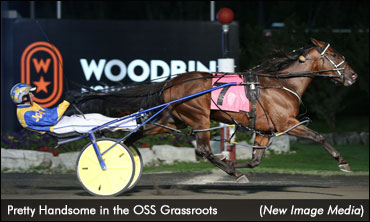 Pacing Colts Off To Grassroots Semis