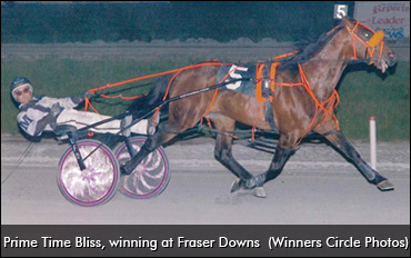 16-Year-Old Standardbred Wins