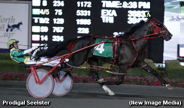 Rideau Gold For Prodigal Seelster 