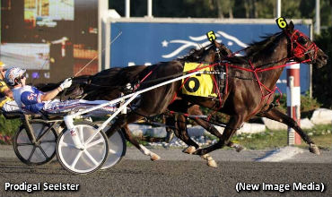 Track Record For Prodigal Seelster 