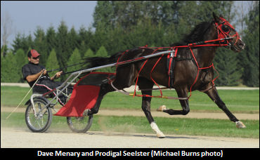 Stage Set For UCC Elims At Georgian