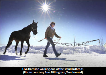 AWOL S-Breds Return To Puf And Pas