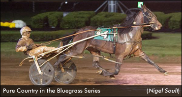 Pure Country Perfect In Bluegrass