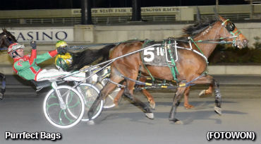 Purrfect Bags A Record Setter