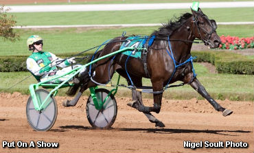 Progress Report On Put On A Show