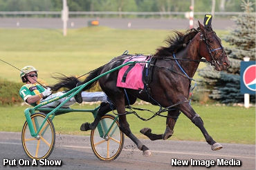 Fantastic Fillies In Fan Hanover