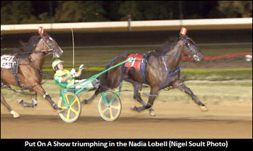 Put On A Show NJSS Horse Of The Year