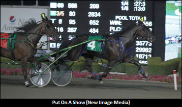 Young Challenges Other Owners In A Spring Of Hope