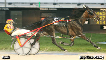 Quail A Looming Florida Standout