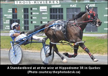 New Breeding Measures In Quebec