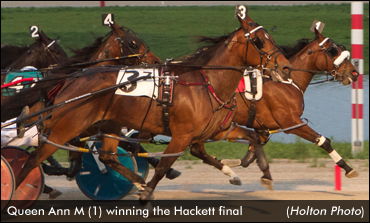 Queen Ann M Wins Hackett Filly Final