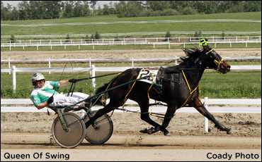 Queen Of Swing Crowned ‘Alberta Princess’
