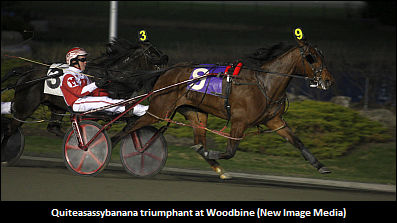 Holmes Not Surprised By Filly's Success