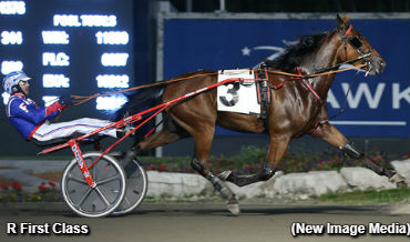 Golden Night For Filion
