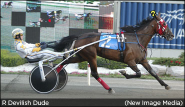 R Devilish Dude Euthanized