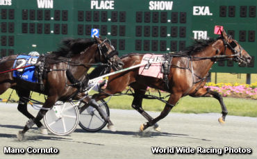 Mano Cornuto, Dube Tops In Stallion Series