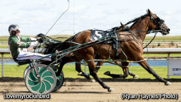Lonestar Stakes At Century Mile