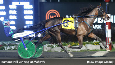 Ramona Hill Remains Atop Poll