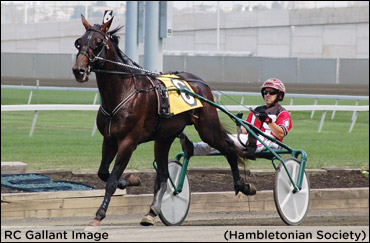 Travelling Trotter Hopes For Trip To Hambo
