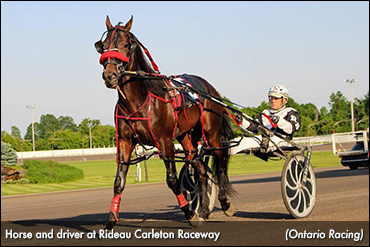 A Multitude Of Upgrades At Rideau